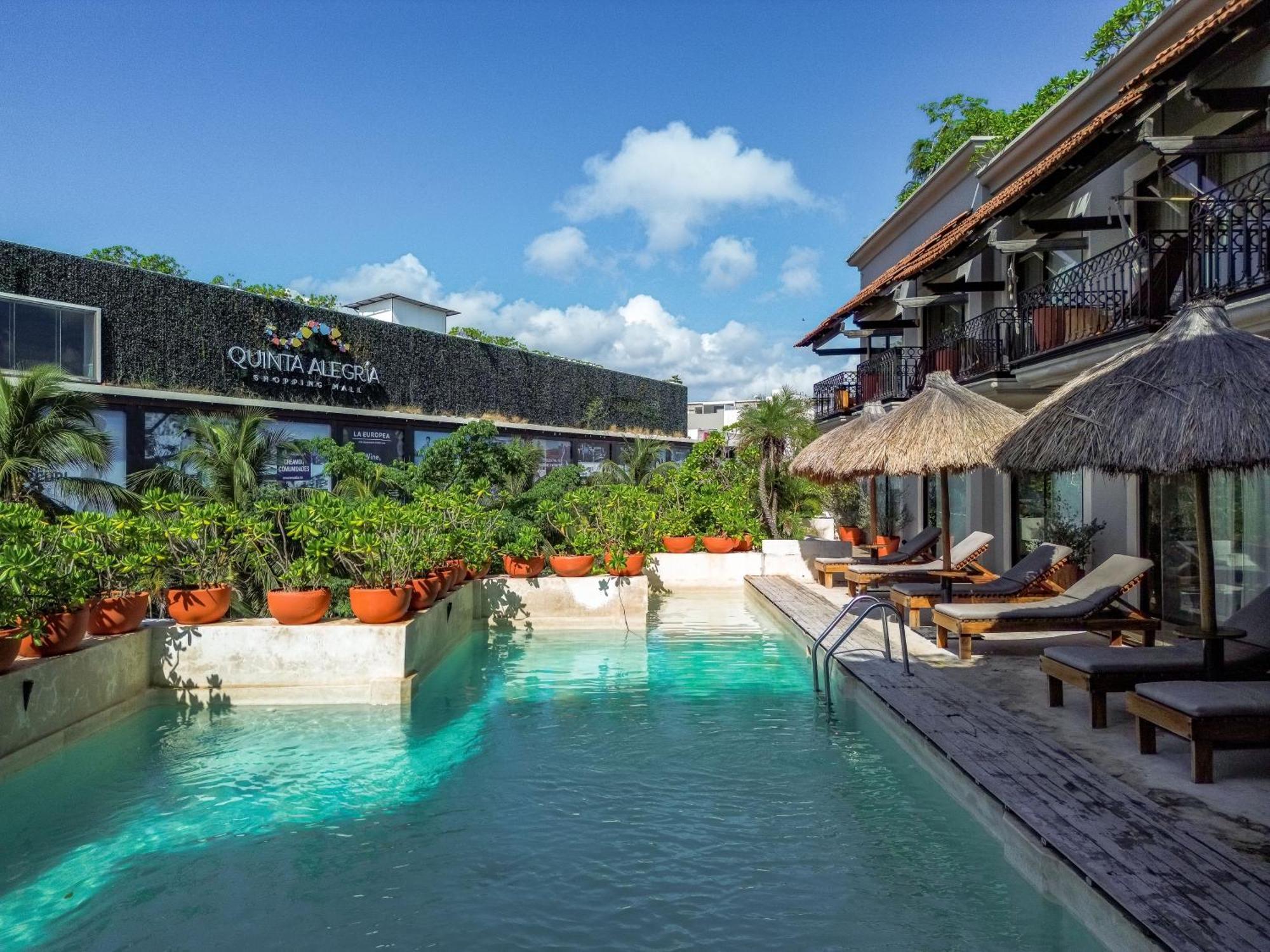 Caribbean Paradise Hotel & Spa - 5Th Avenue Playa del Carmen Kültér fotó